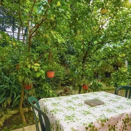 3 Sorrento