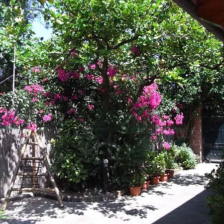 3 Apartment Sorrento