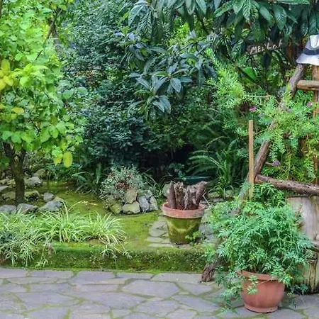 3 Apartment Sorrento