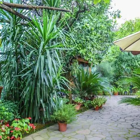 3 Apartment Sorrento